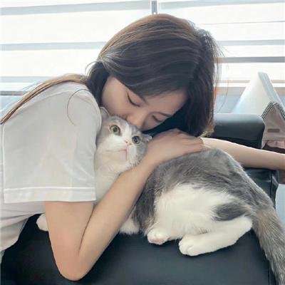 没牙的老虎